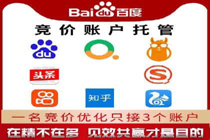 百度竞价推广在电商领域的赚钱案例